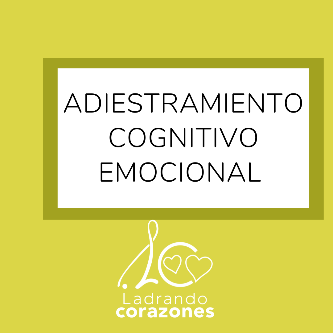 Adiestramiento Cognitivo Emocional